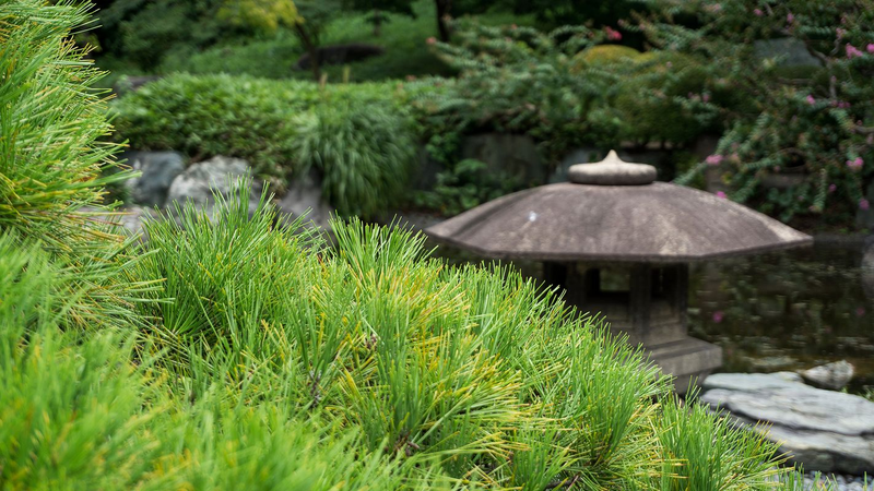 Kokyo Higashi-gyoen (The East Gardens of the Imerial Palace)
